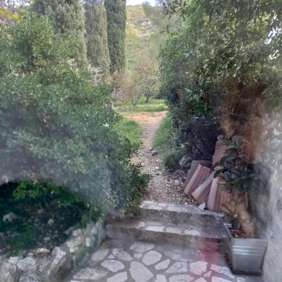 Petit Studio Parmi Les Pins Et Les Cypres Marseille Ngoại thất bức ảnh