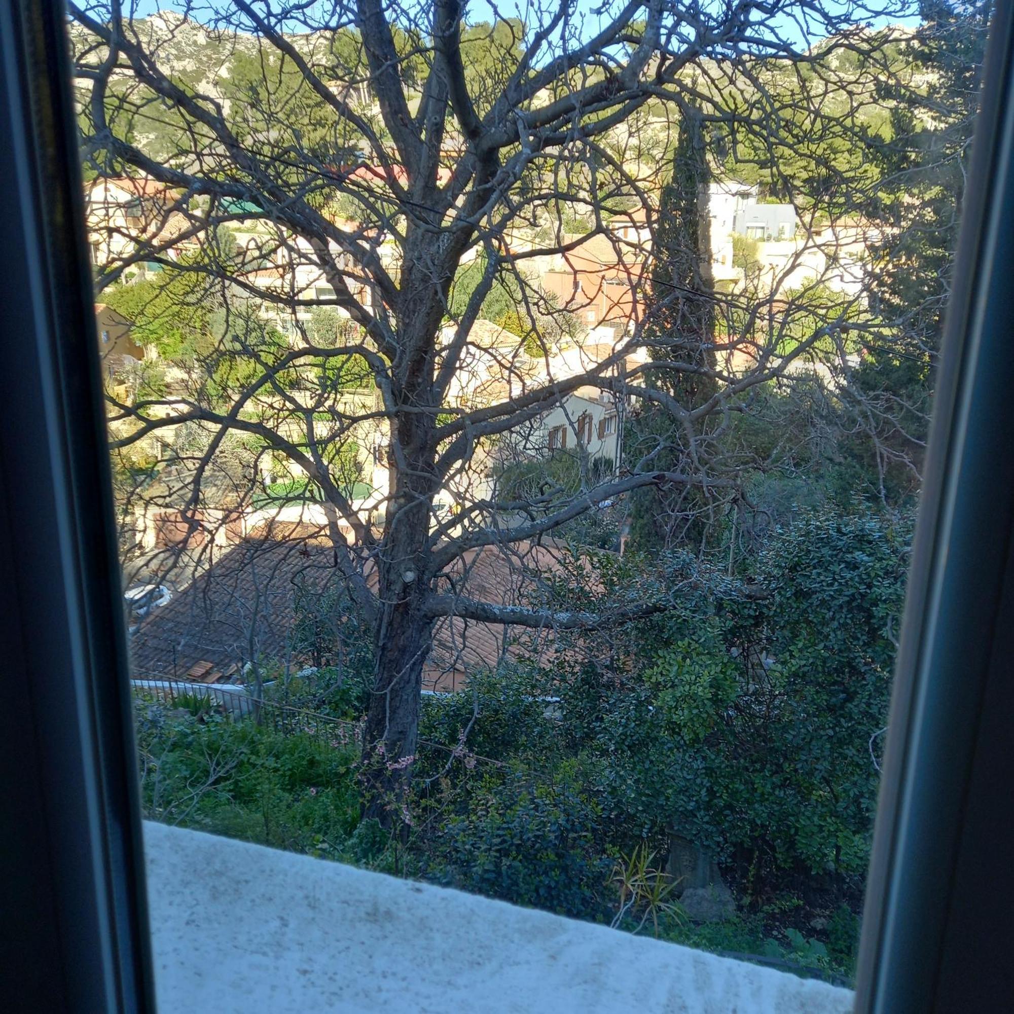 Petit Studio Parmi Les Pins Et Les Cypres Marseille Ngoại thất bức ảnh